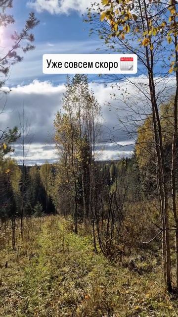 Совсем скоро 🍂