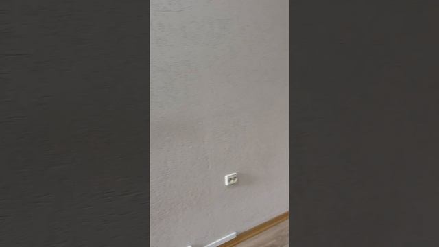 Copy_E5AD239C-EDF9-476B-B211-185E263C796D