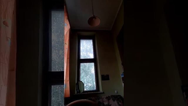 Смотрю в окно