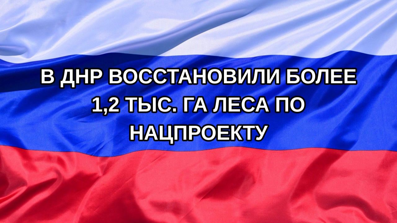 |Н. РФ| В ДНР восстановили более 1,2 тыс. га леса по нацпроекту
