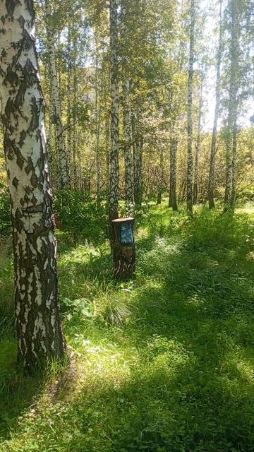 шикарно  погулял и нашёл себе подружку