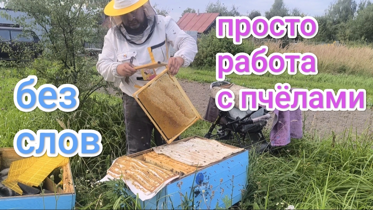 Пчёлы в лежаке, сборка гнезда к зимовке без лишних слов. Пчеловодство!