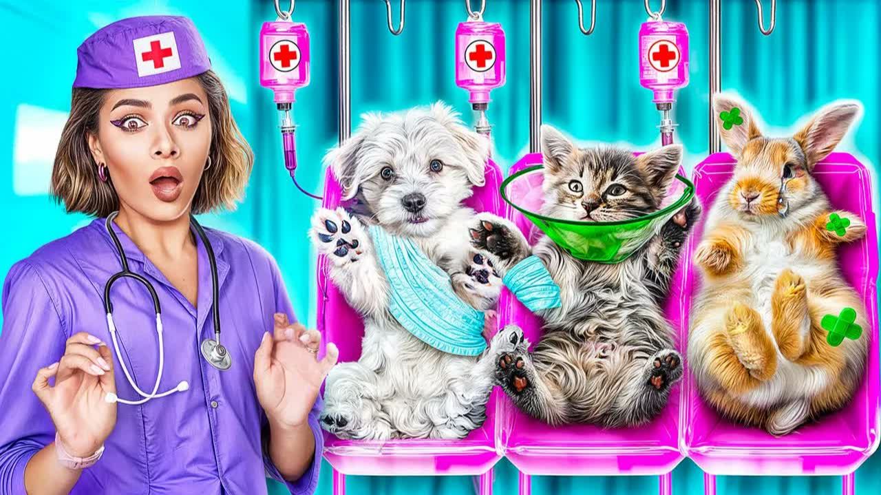 Больница для животных! Экстремальное спасение животных!