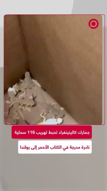 موظفو الجمارك عند نقطة عبور للسيارات في مقاطعة كالينينغراد أحبطوا محاولة تهريب