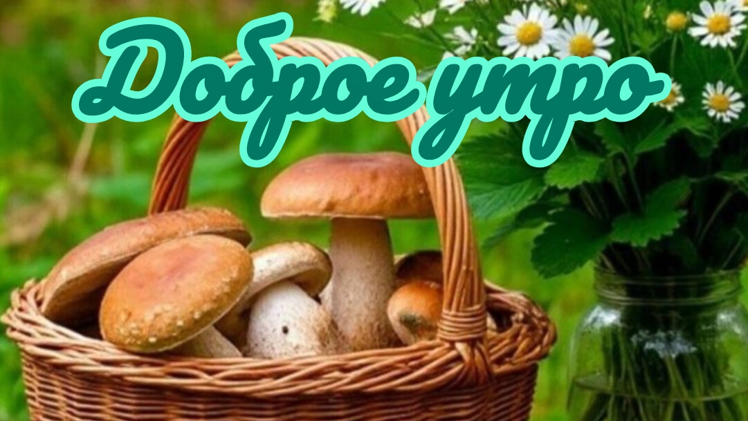 С добрым утром августа . Красивая музыкальная открытка.