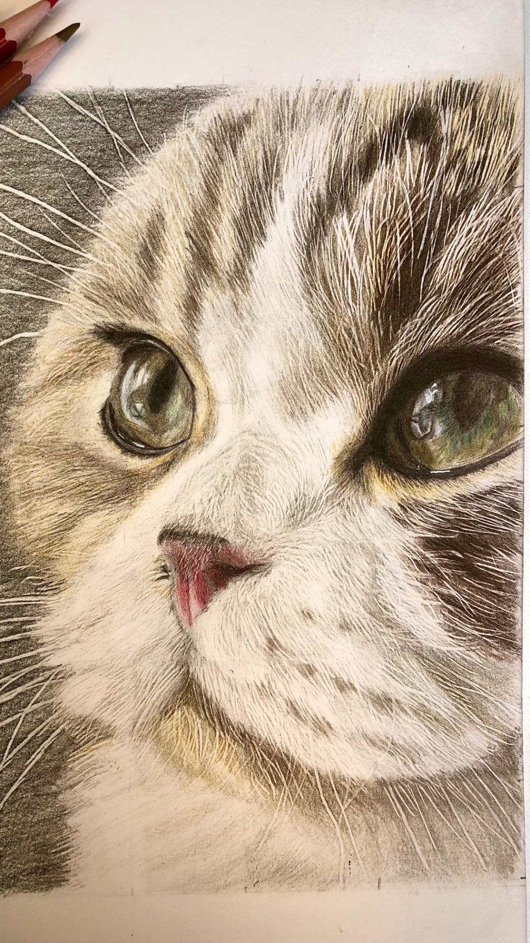 Drawing a kitty 