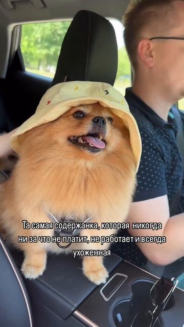Королевишна 👸))