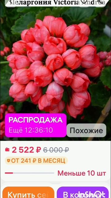 Трэш контент 😂😂кто занимается комнатными цветами меня поймут 🤦♀🙏😁