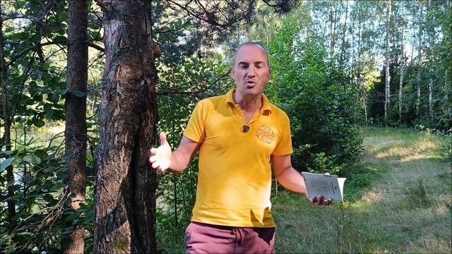 Алексей Кольчугин – Когда возвращается память
