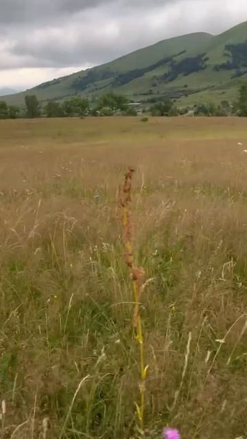 Армения глазами IARMEN.🤩