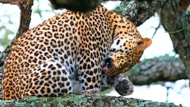 Музыка для души