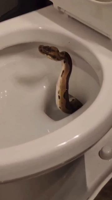 БЫВАЕТ
