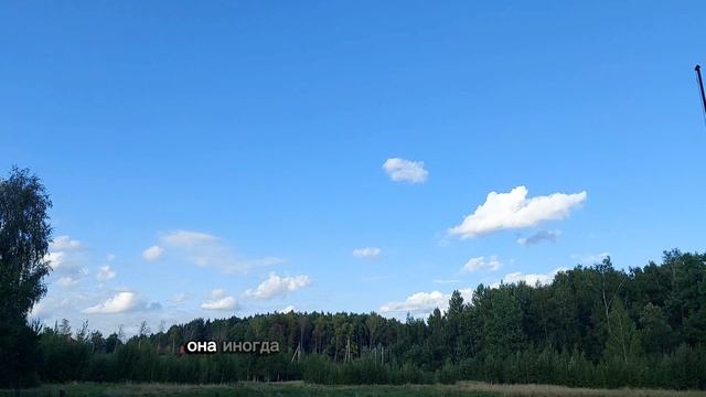 Жизнь