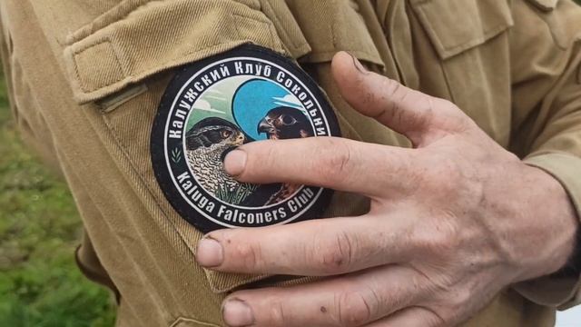 Калужский Клуб Сокольников. IV Фестиваль «Охота как искусство». Ясная Поляна. 8 августа 2026 г.