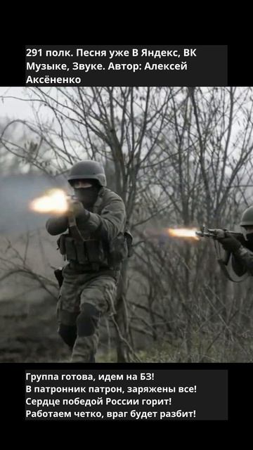 291 полк 1 (5)