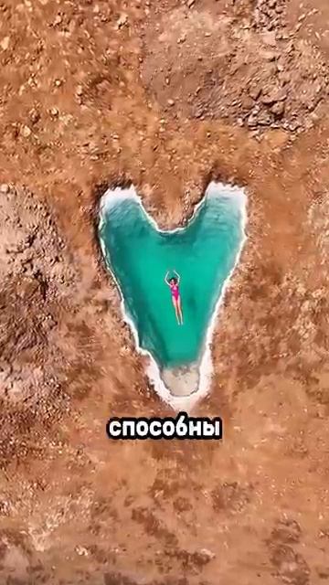 Почему в Мёртвом море ежегодно гибнут люди?