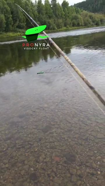 Тест 13 и 28см на большой реке. Видео от Николая Холопова УХТА. #кораблик #балда #рыбалка #бомбарда