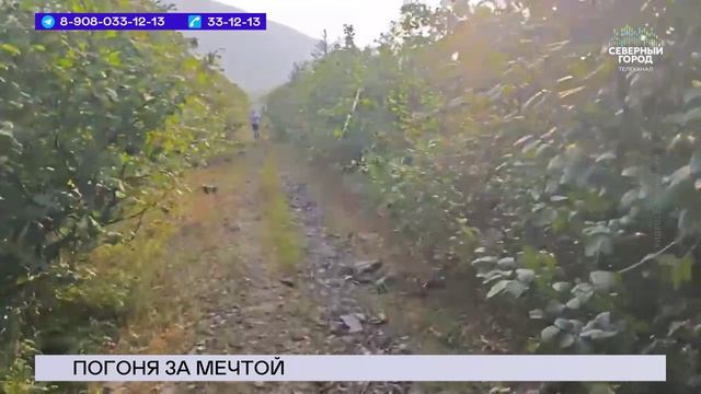 НОВОСТИ СЕВЕРНОГО ГОРОДА 25.08.2026