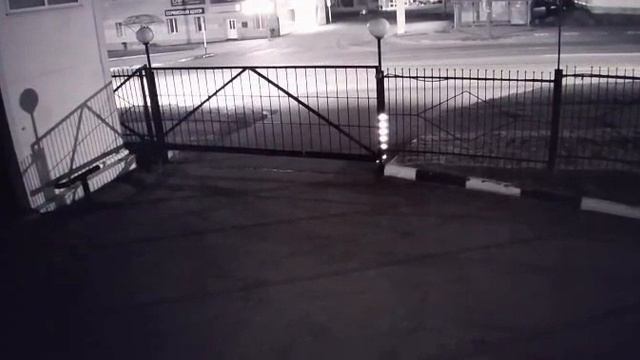 Медведь бежал за мужчиной в Магадане