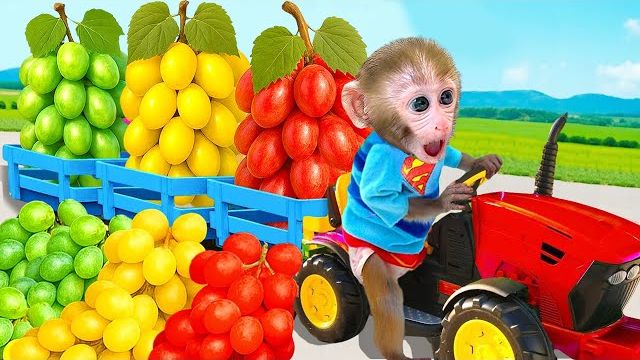 Милая обезьянка Бон-Бон ест вкусный арбуз на ферме и видит странные сны