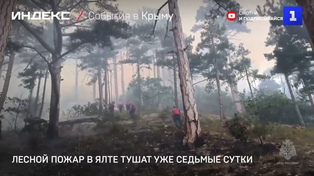 Лесной пожар в Ялте тушат уже седьмые сутки