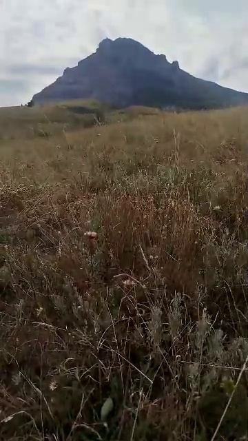 25-08-2026 Уличный стрим. Минеральные Воды