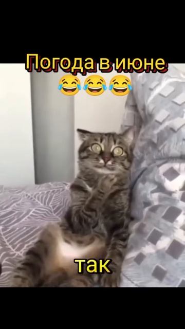 Жизненно 😁