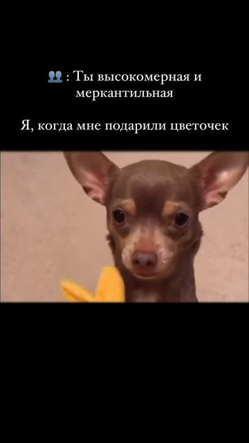 Сама невинность 😚))