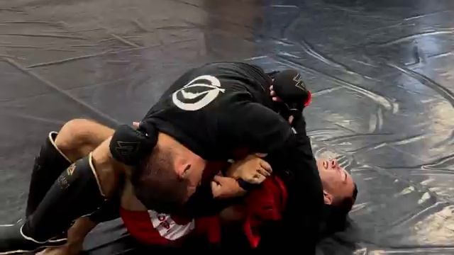 Черный пояс по BJJ против боевого самбо — чистые стили, никакой смешанки (MMA), жестокий бой.