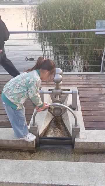 Водичка