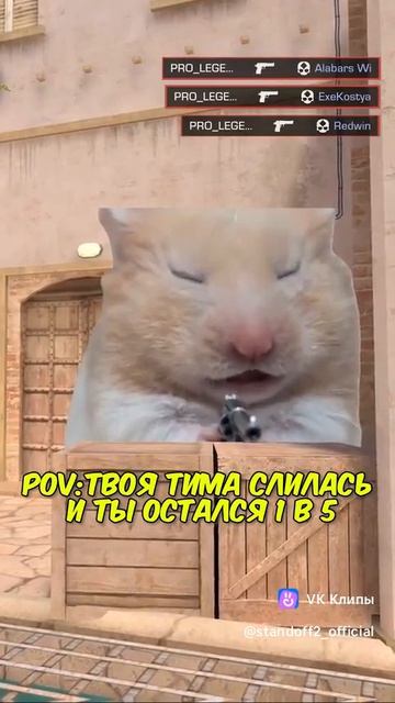 Когда вся тима слилась в стендофф 2🤣🤣🤣