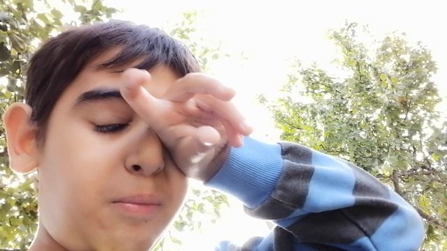 Я показал трёх уличных животных которые живут у нас