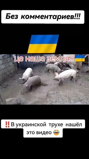 1000034338.mp4