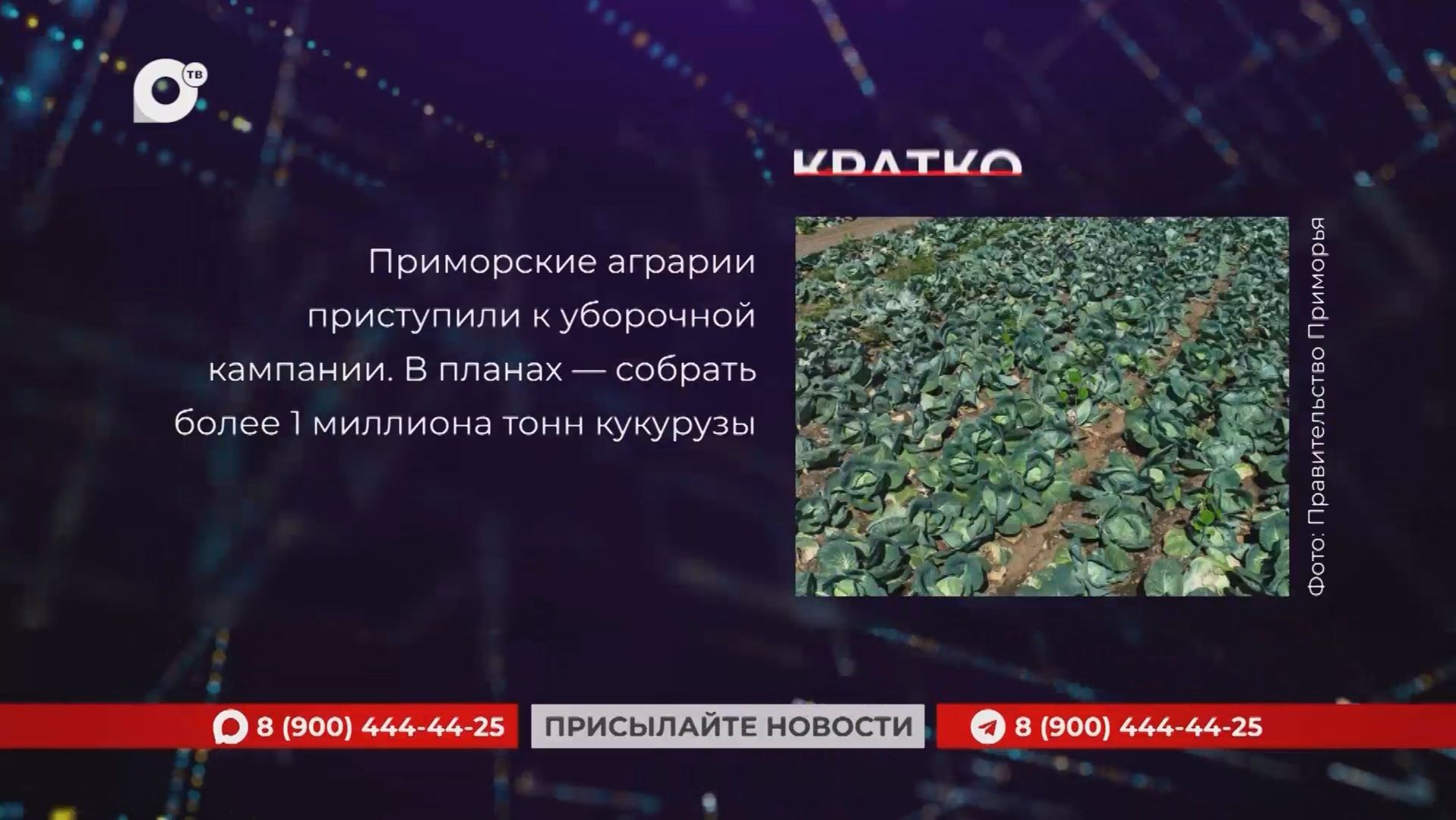 Кратко / 25.08.26