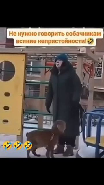 Кто агрессивная?