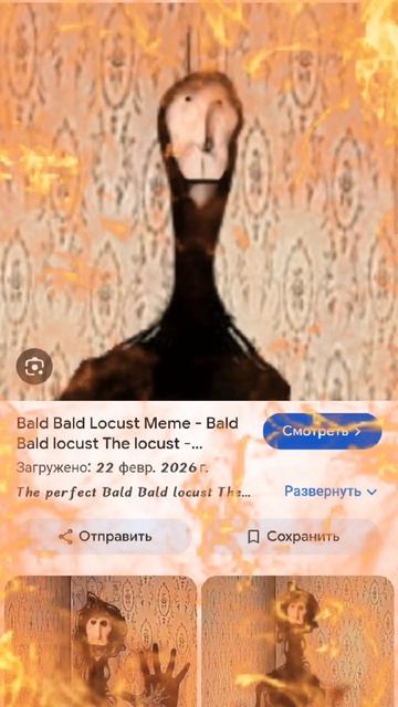 саранча😱