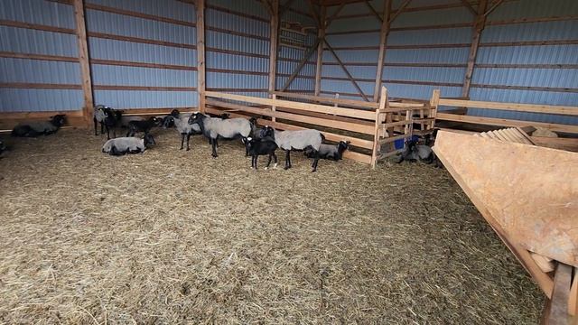 #446 FARM TOUR 15.08.2026