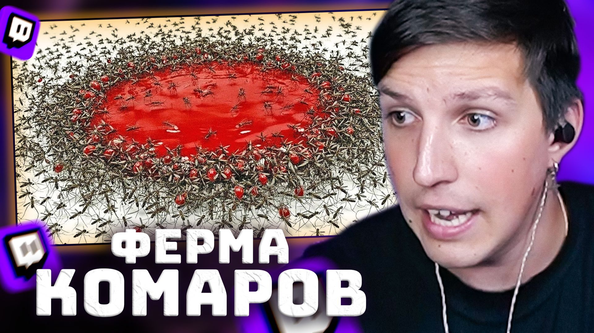 Что будет, если вылупится 1 000 комаров? | РЕАКЦИЯ МАЗЕЛЛОВА