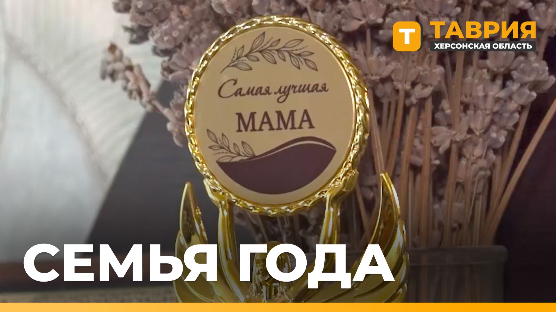 Многодетная семья Довбня из Тавричанки победила в конкурсе «Семья года - 2026»