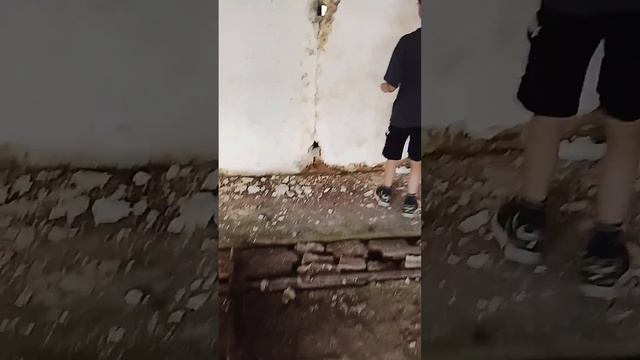 Дом цыгана (8часть)
