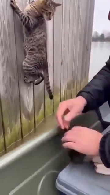 БЫВАЕТ