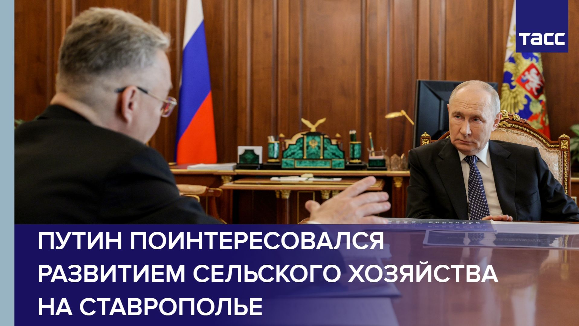 Путин поинтересовался развитием сельского хозяйства на Ставрополье