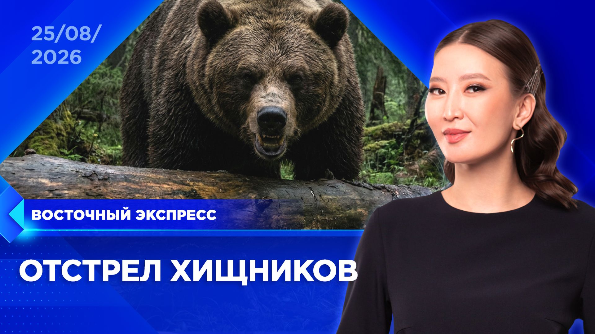 Меры защиты против медведей усилят в Бурятии | «Восточный экспресс» | новости Улан-Удэ