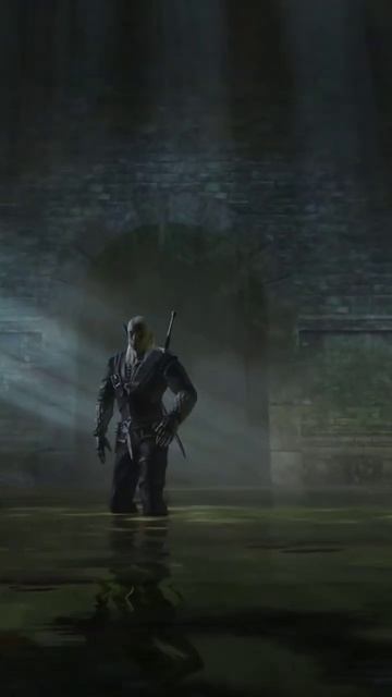Ох уж эти условности😅 #vilmarionv #gaming #games #game #witcher #old #ведьмак #игры #nostalgia