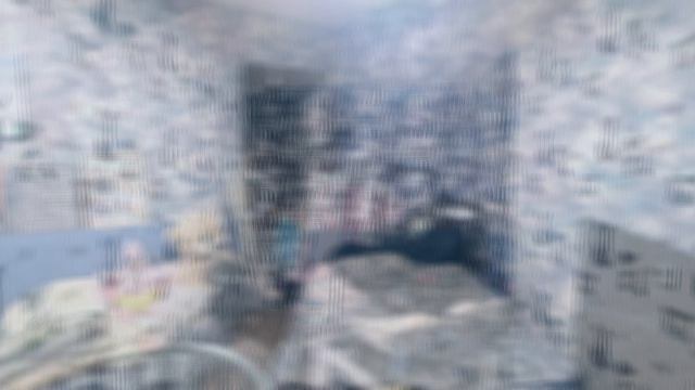 petal_20260825_162021.mp4