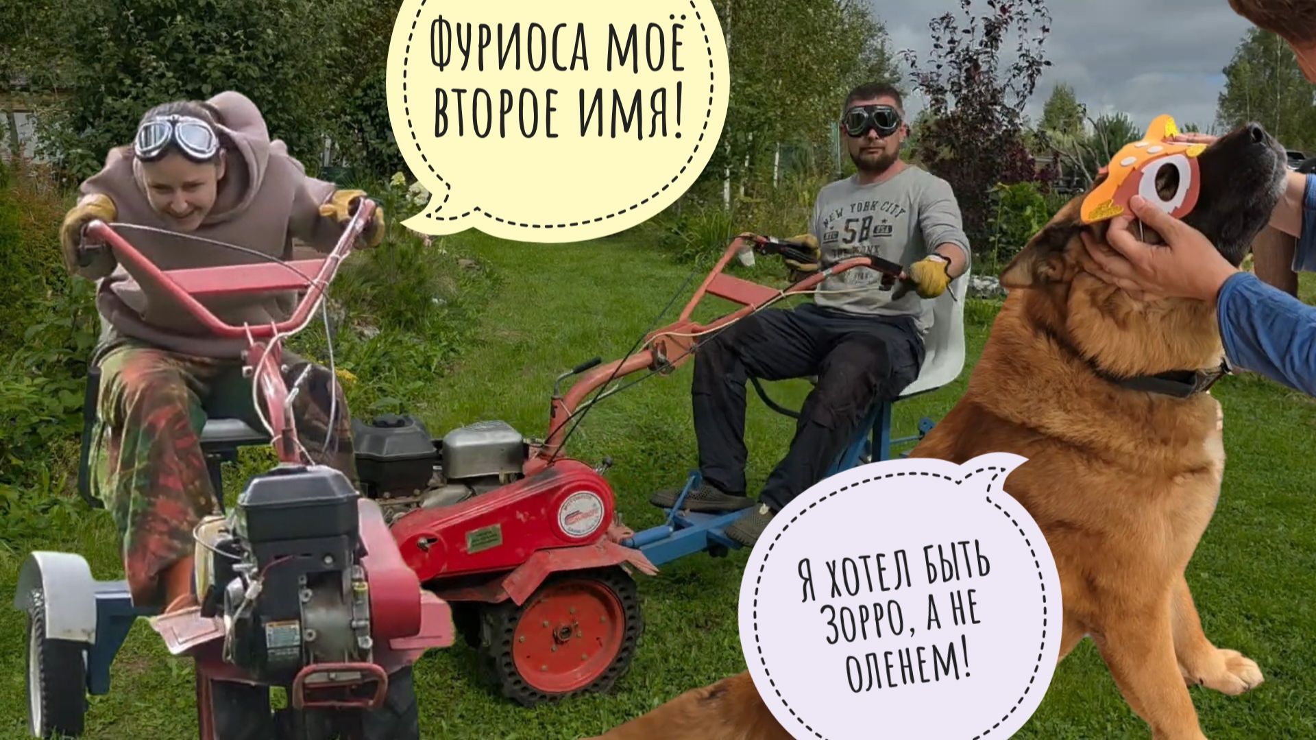 У Треугольного кота матрасик отжали! Диван к окну придвинули!Пса Куба заарбузили. Гонки на мотоблоке
