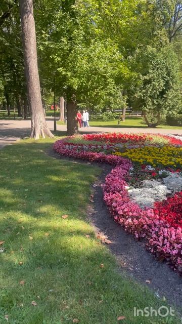 Очень много цветов в парке