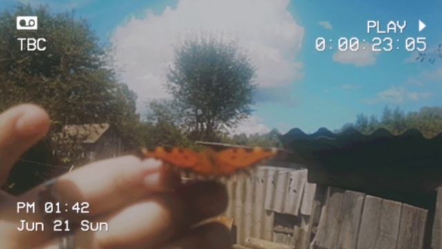 Бабочковый день✨🏵️🦋