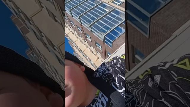 обзор на нютон