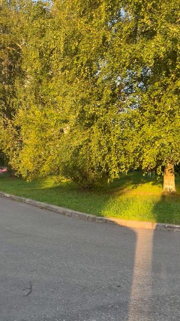 Улица Спортивная, Электросталь: живёшь тут и не замечаешь этого.